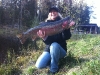 bild-1