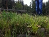 bild_andrew